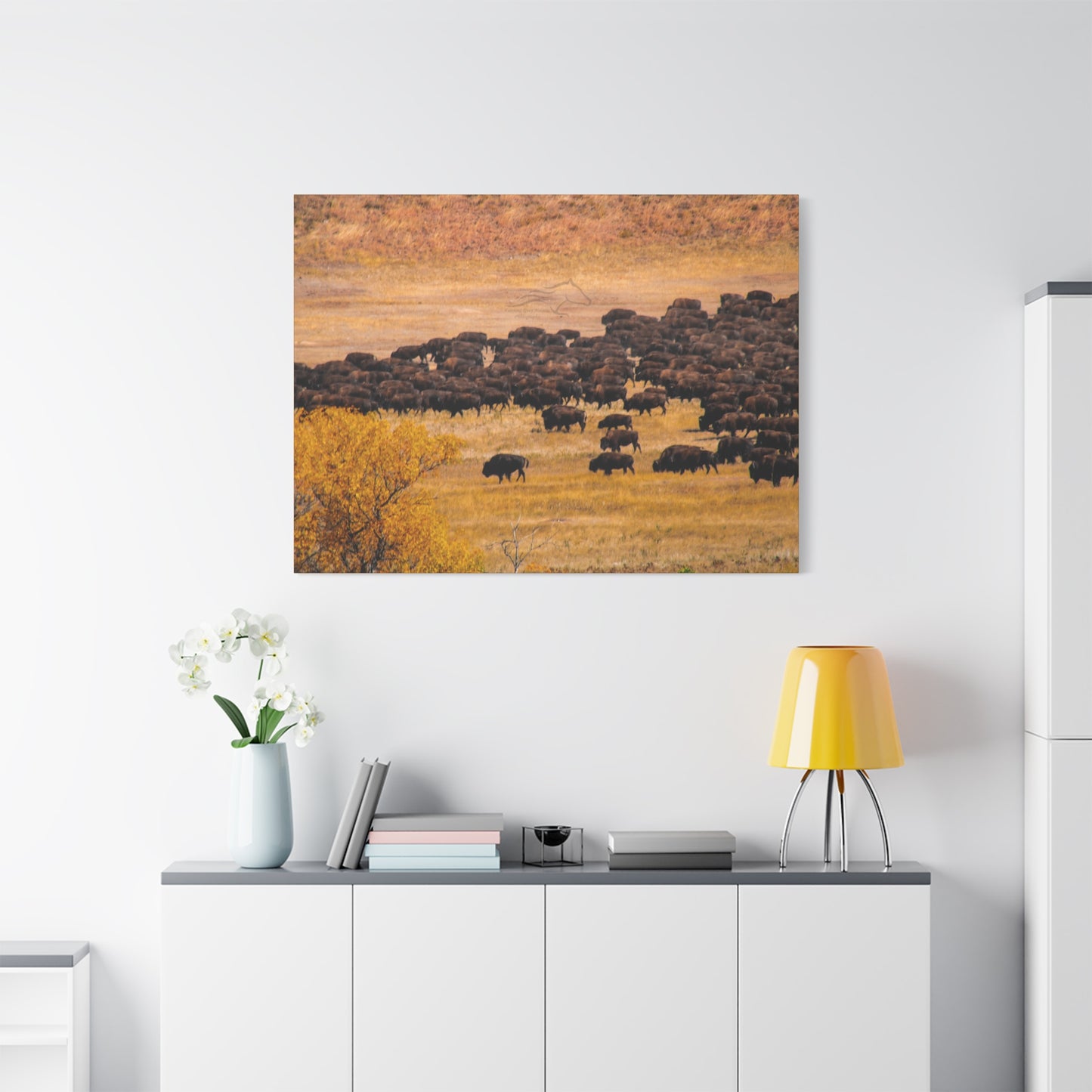 Buffalo all Gathered Canvas
