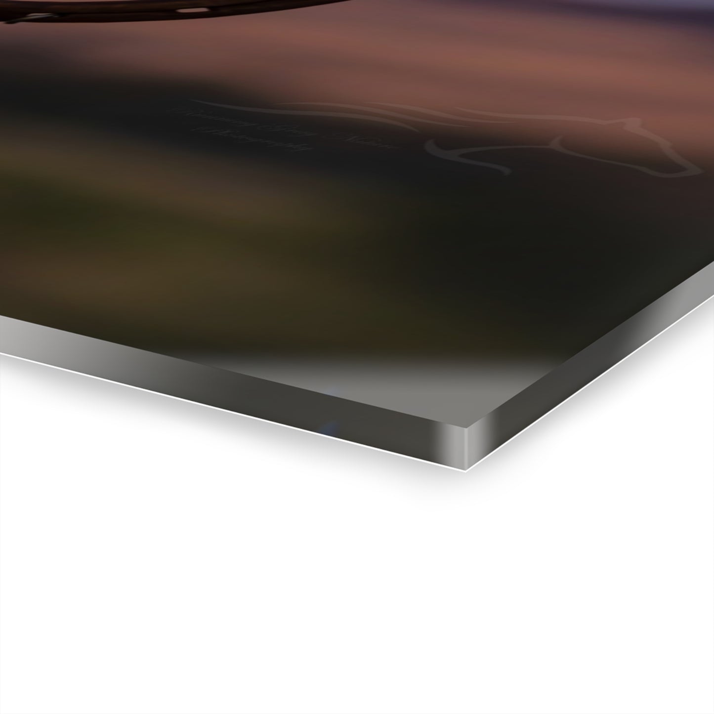 Rustic Horseshoe Acrylic