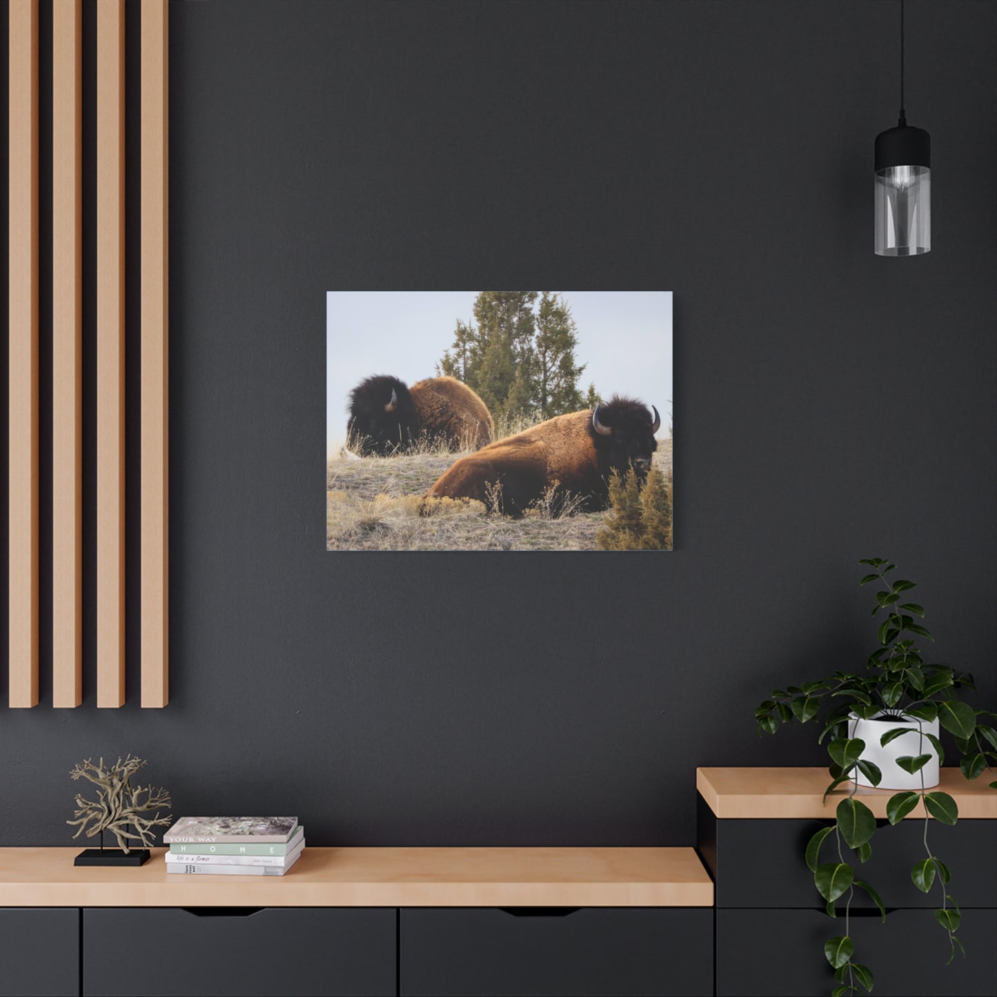 Two Bull Buffalo Canvas