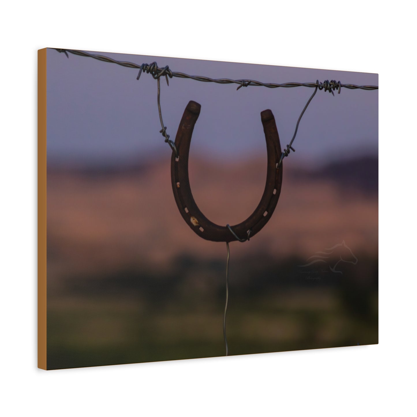 Rustic Horseshoe Canvas
