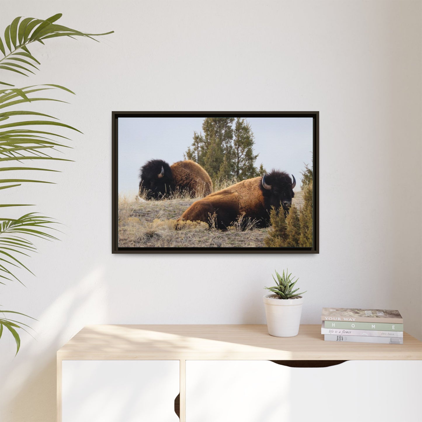 Two Bull Buffalo Framed Canvas