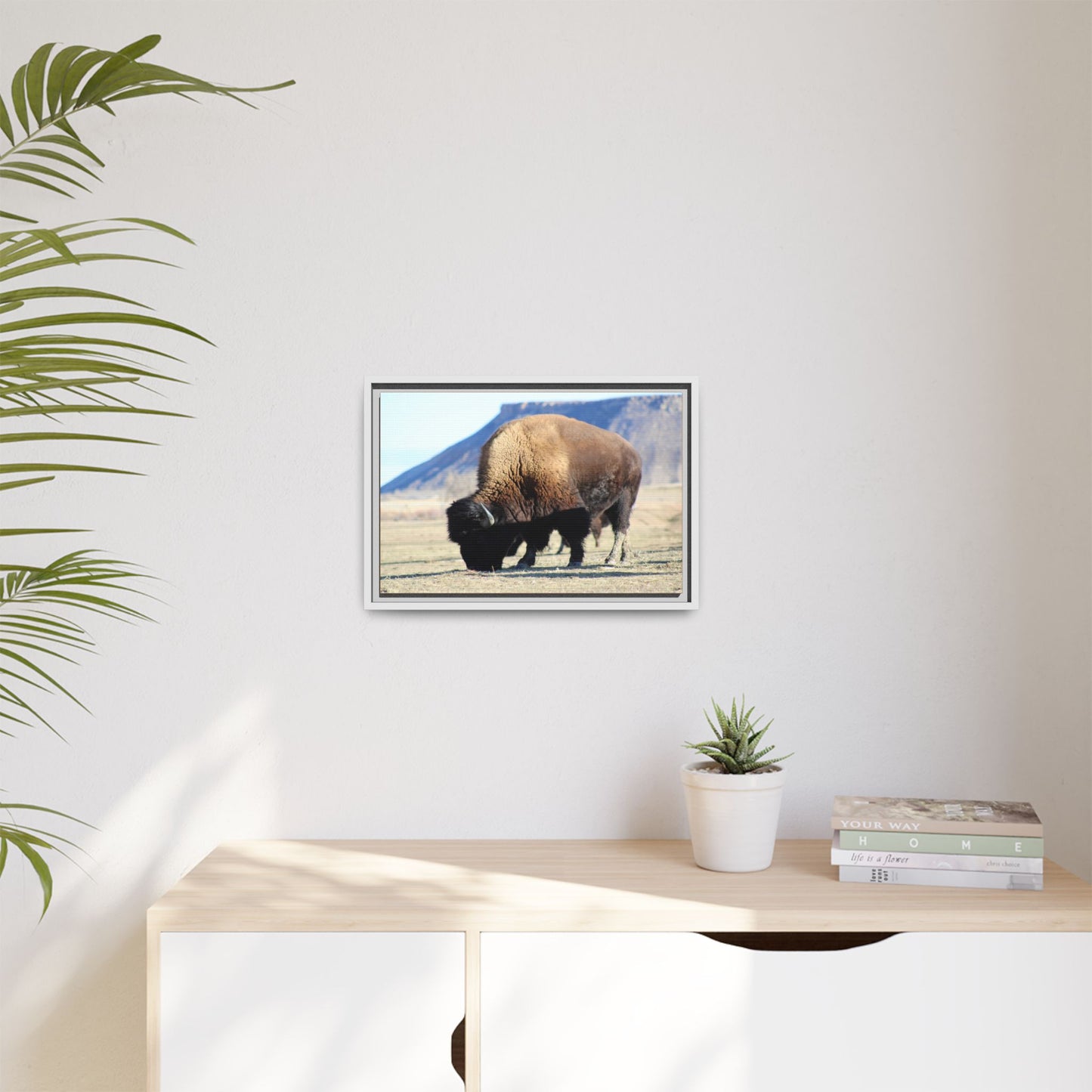 Big Daddy Buffalo Framed Canvas