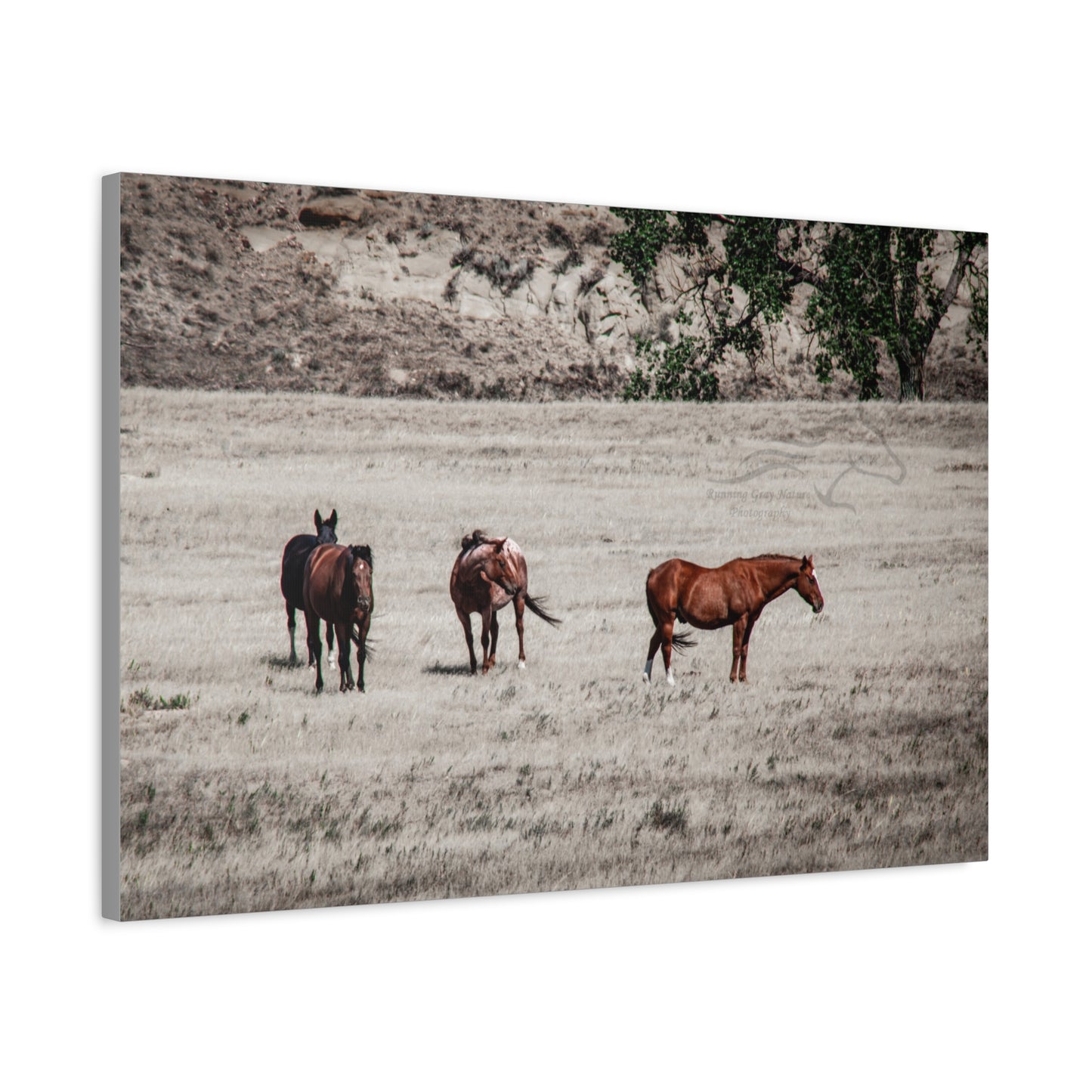 Not everything is Black and White