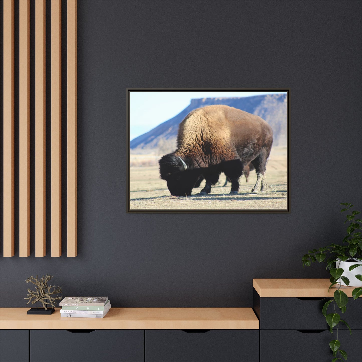Big Daddy Buffalo Framed Canvas