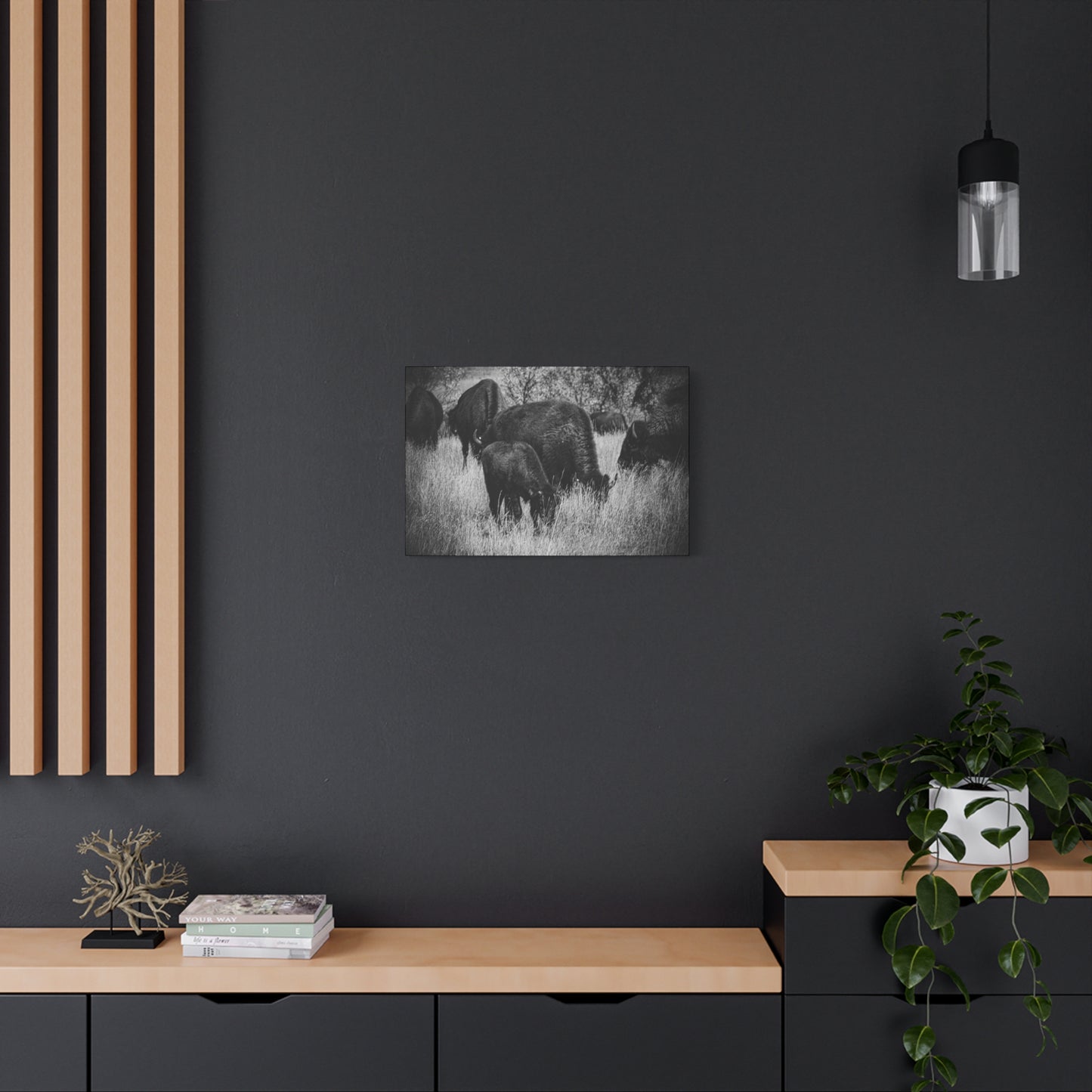 Black and White Buffalo Canvas