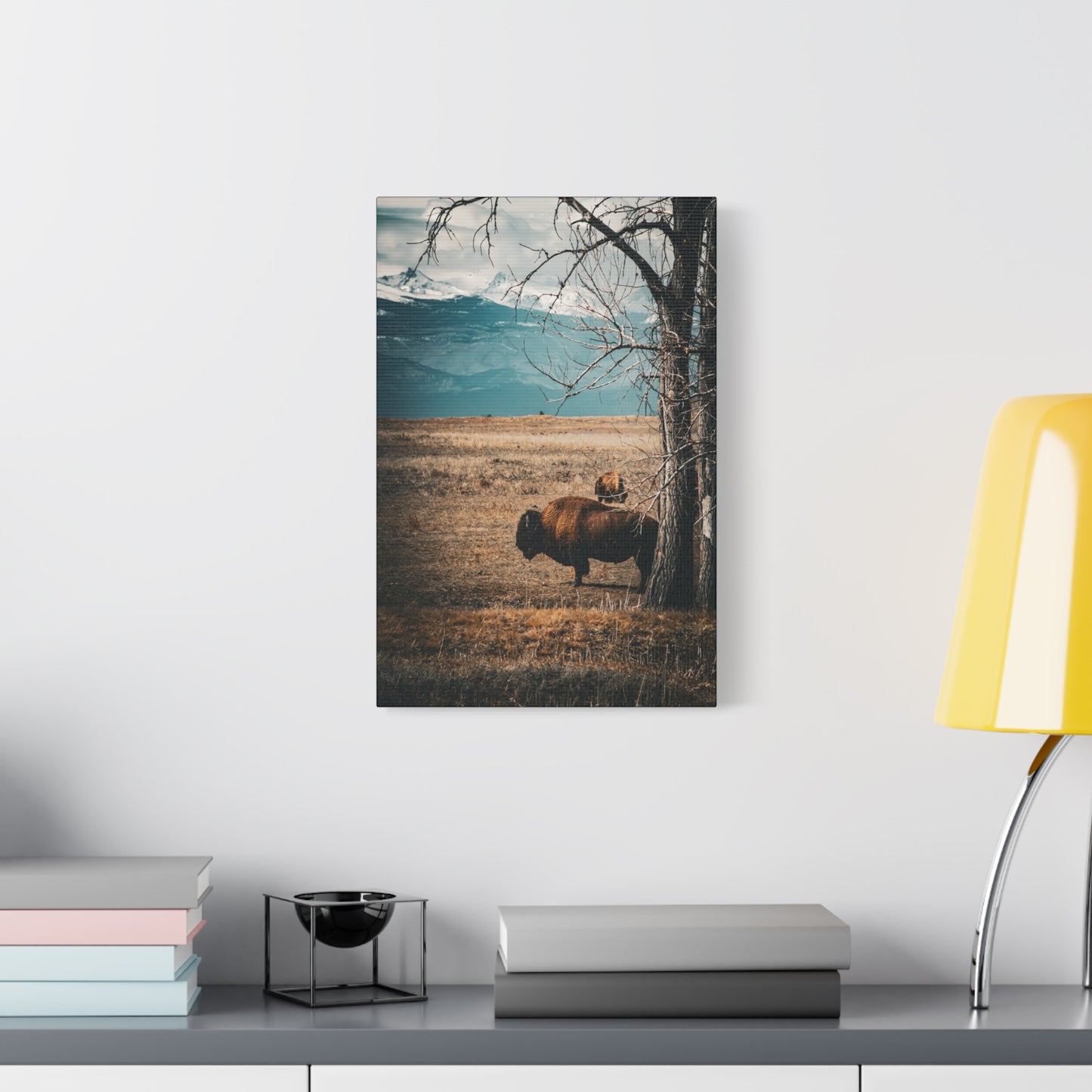 Rustic Bison Mountain Canvas