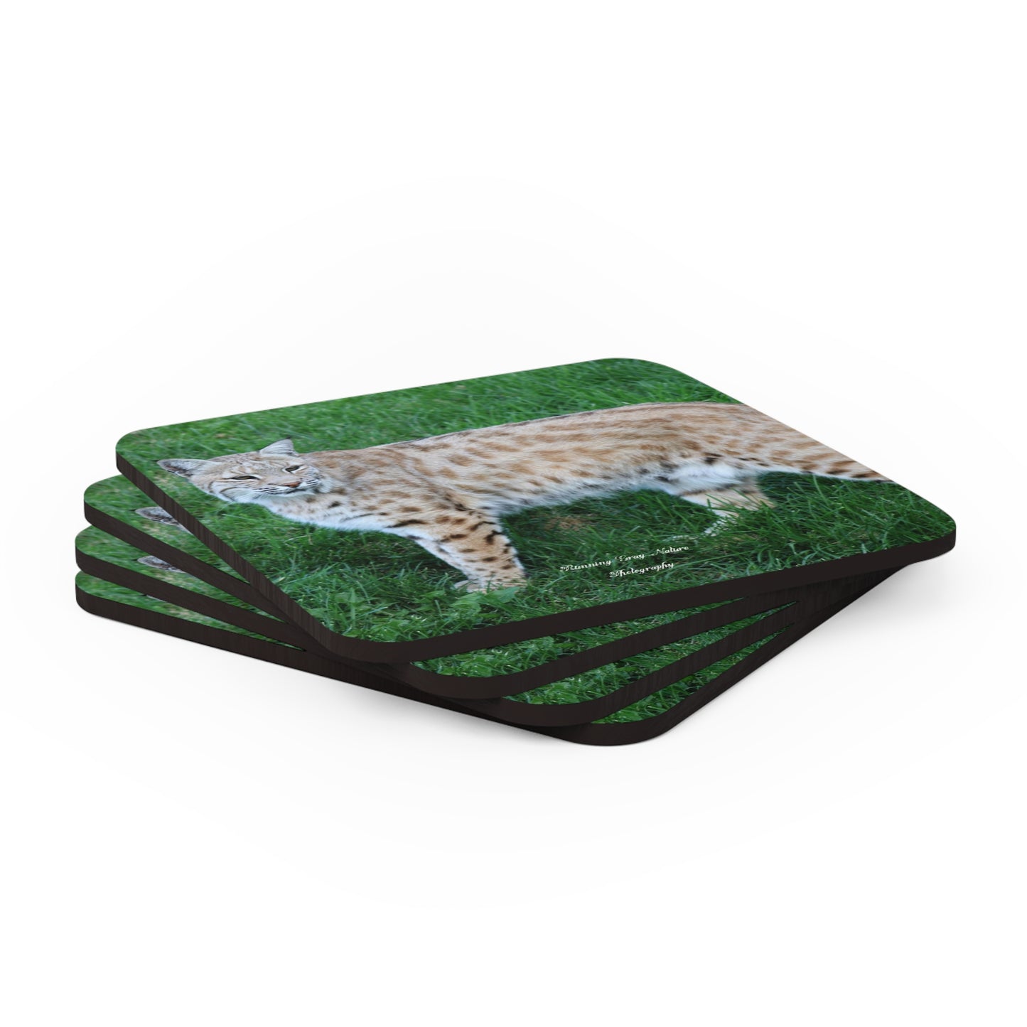 Bobcat Corkwood Coaster Set