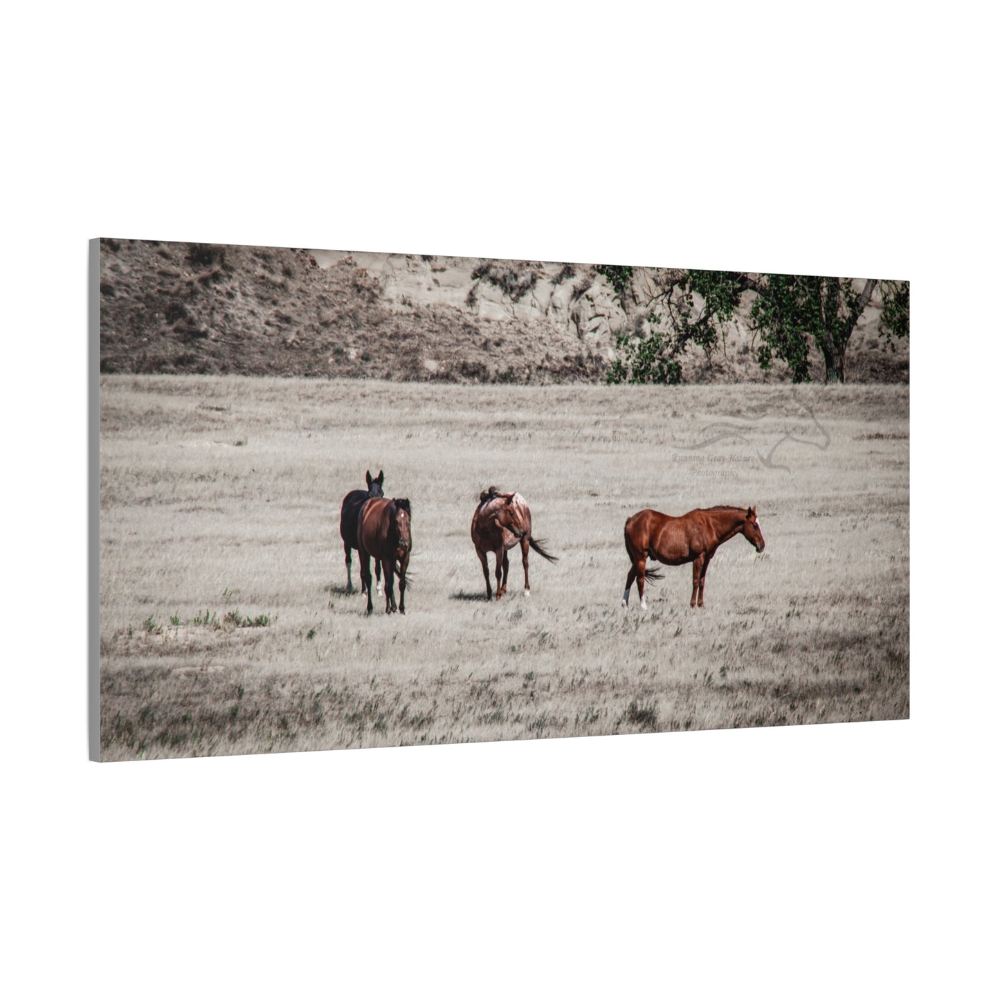 Not everything is Black and White