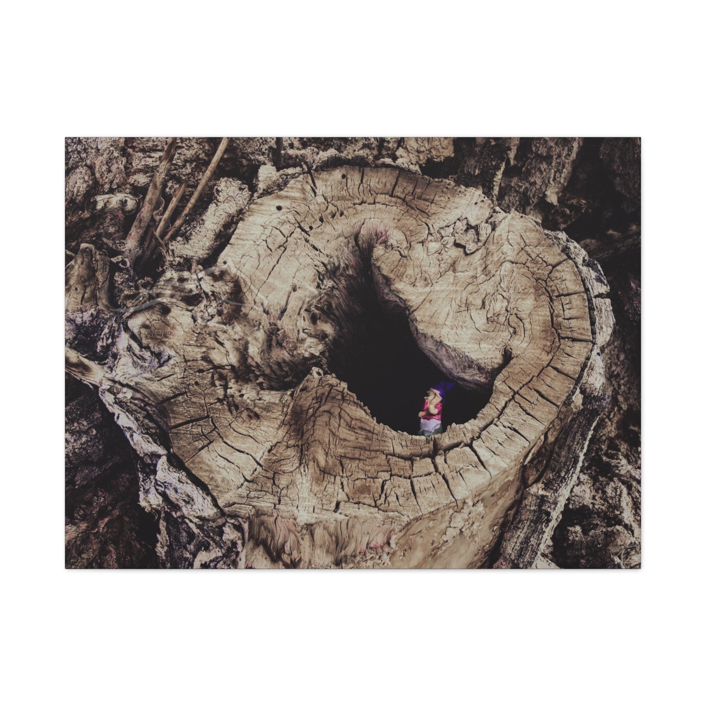 Fairy in a Tree Canvas