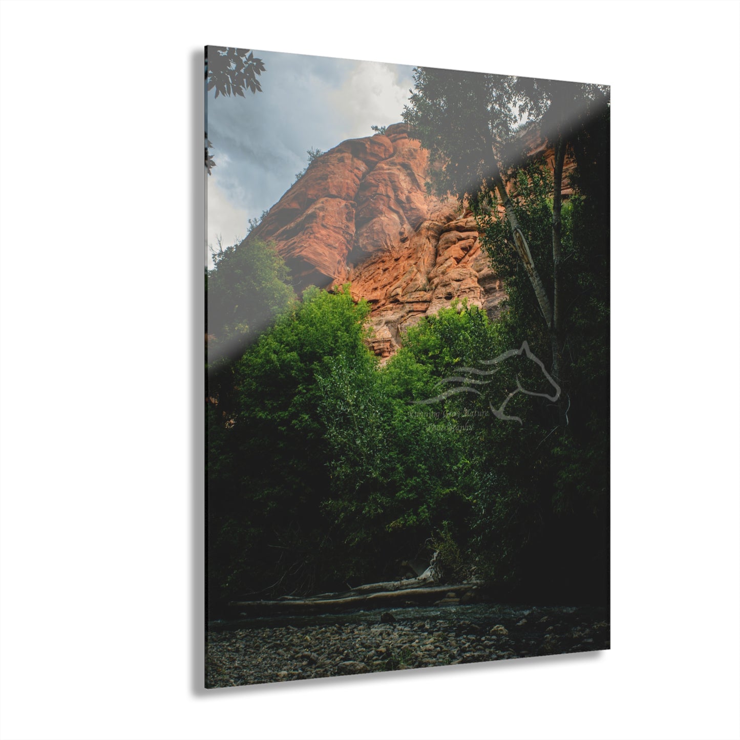 Red Rock near Ayres Natural Bridge Acrylic
