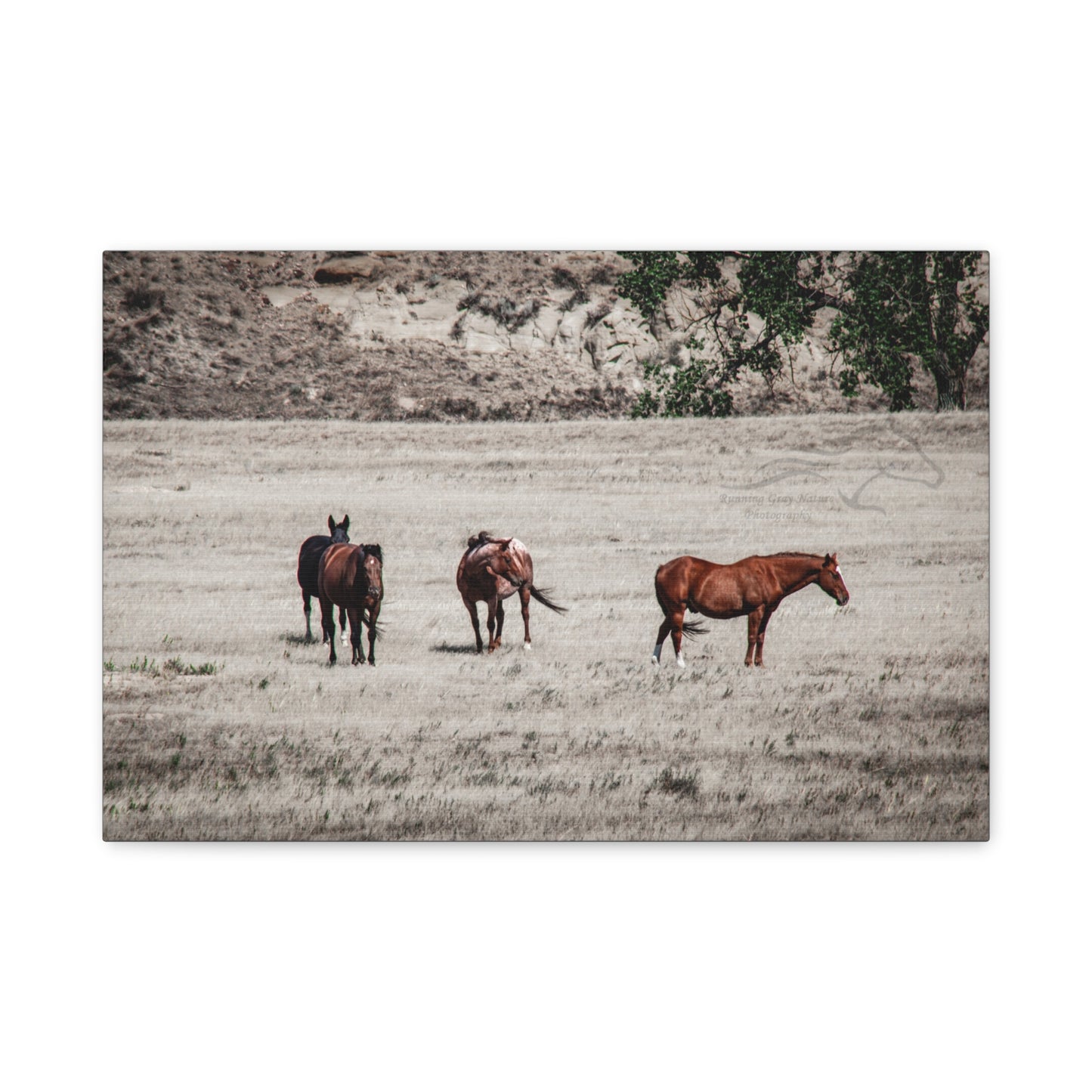 Not everything is Black and White