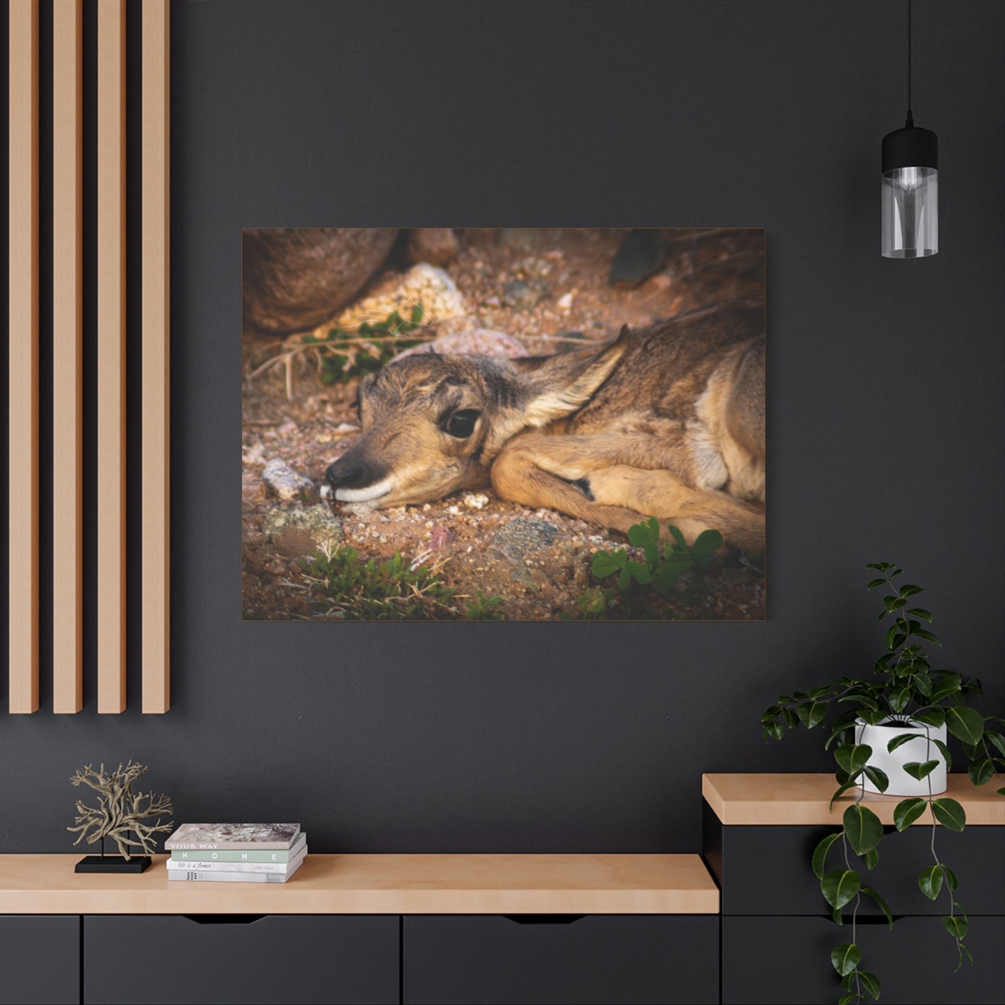 Baby Antelope Canvas