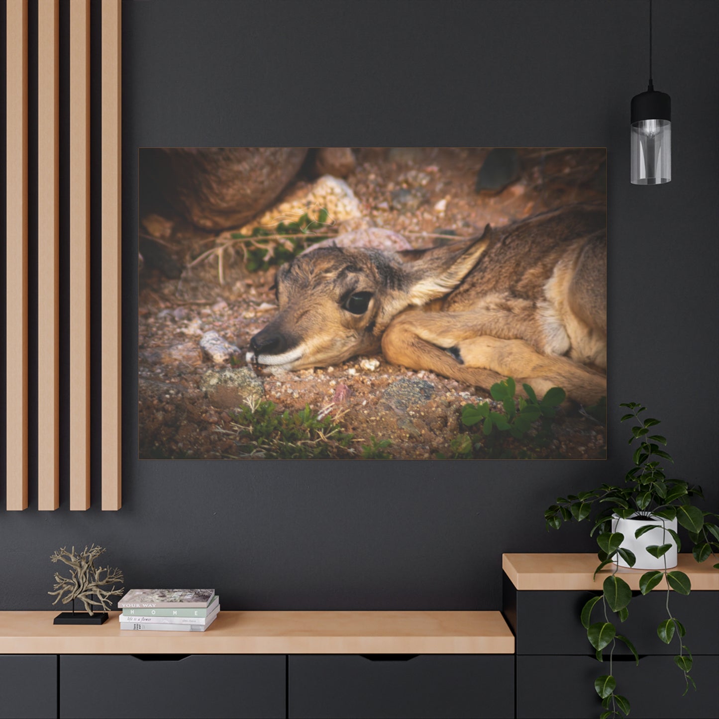 Baby Antelope Canvas