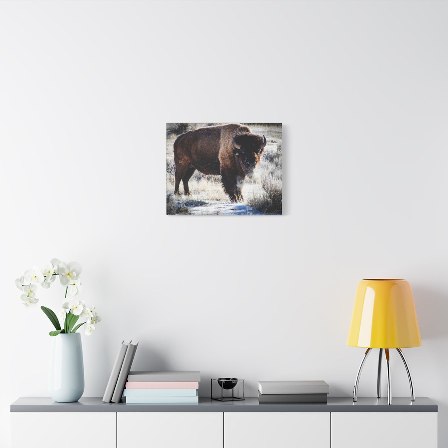 Early Morning Buffalo Canvas