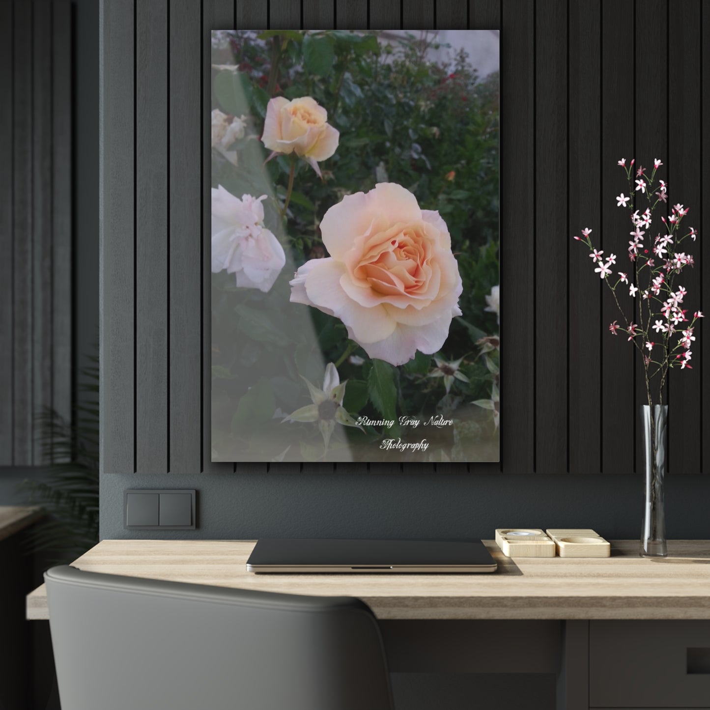 White Roses Acrylic Prints