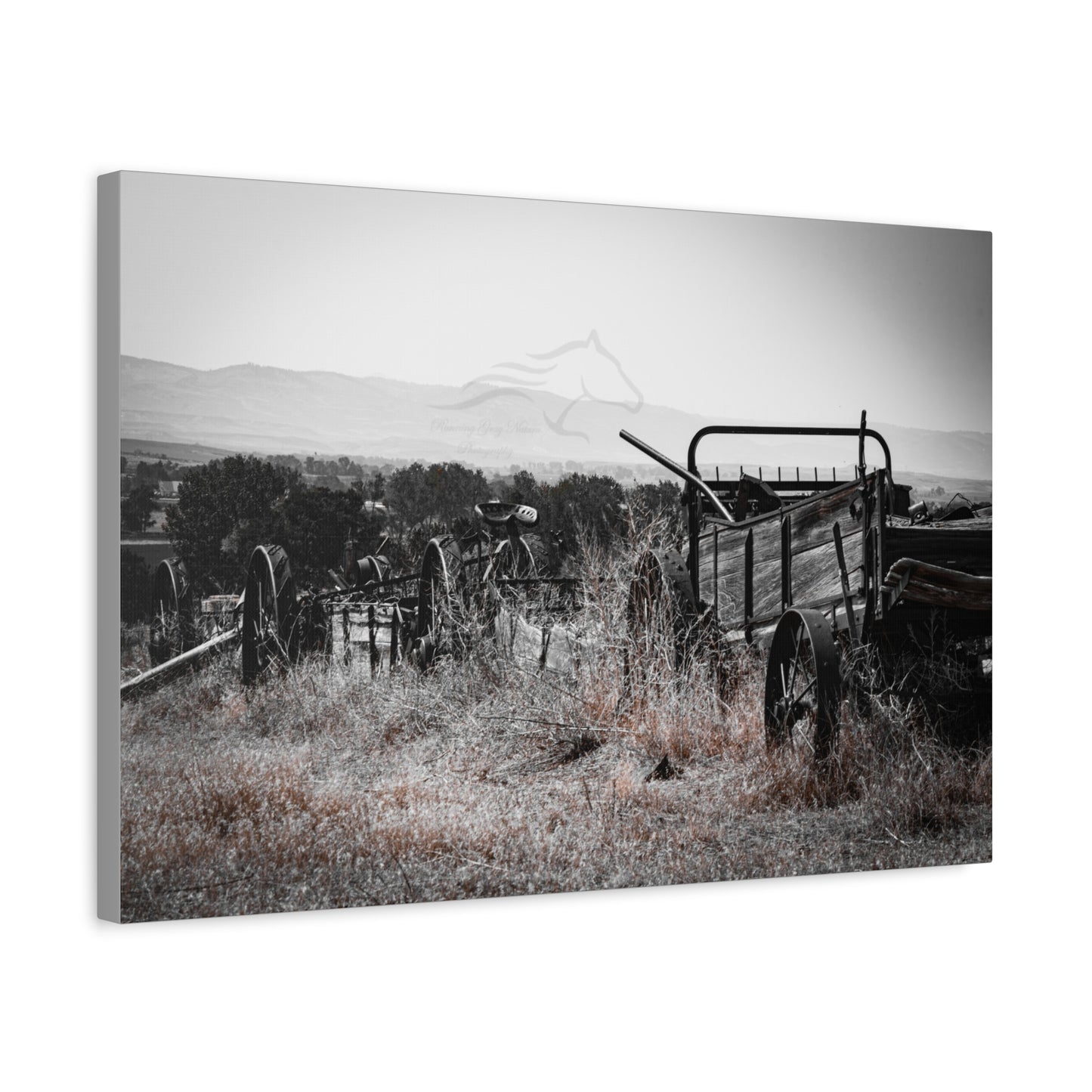 Rustic Black and White Wagon Canvas