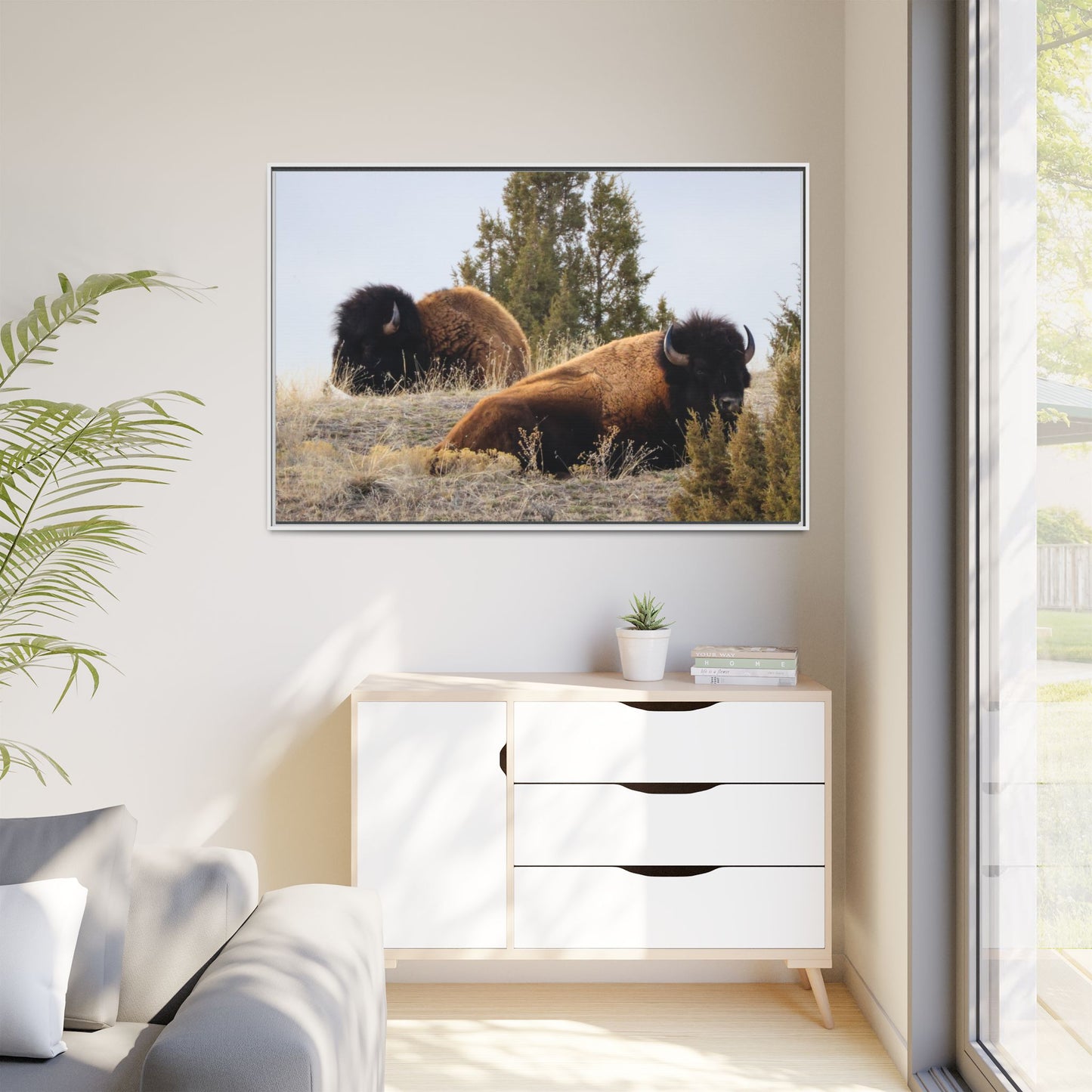 Two Bull Buffalo Framed Canvas