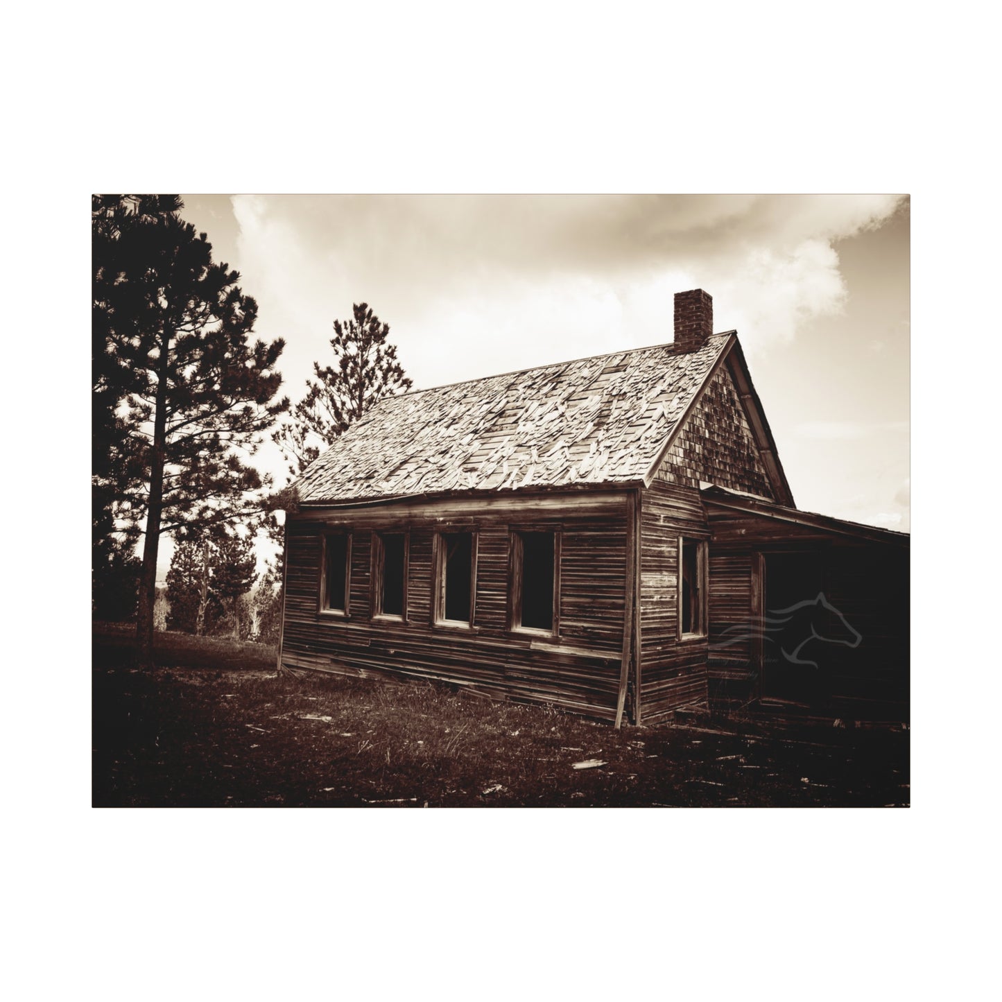 Rustic Bunk House Canvas