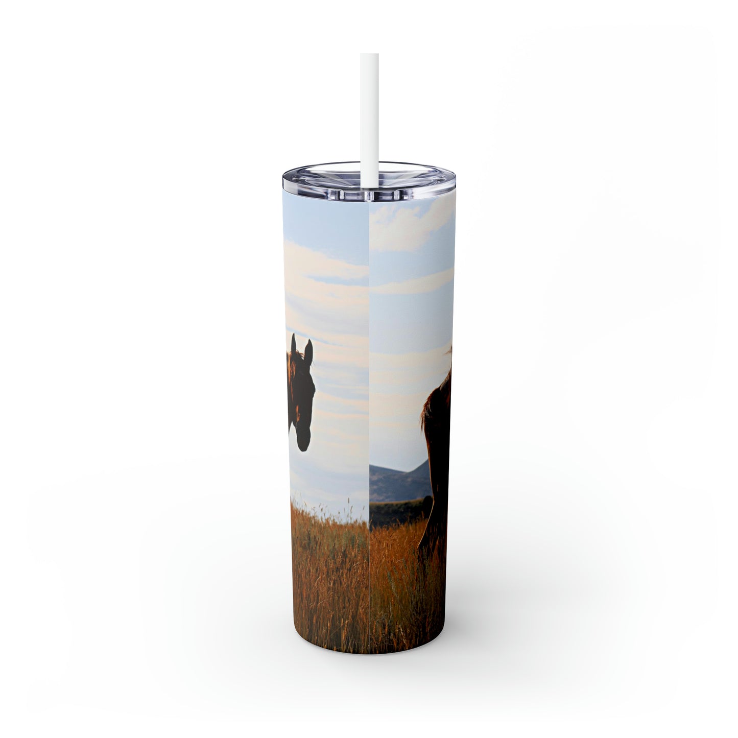 Fly Flicker Skinny Tumbler with Straw, 20oz