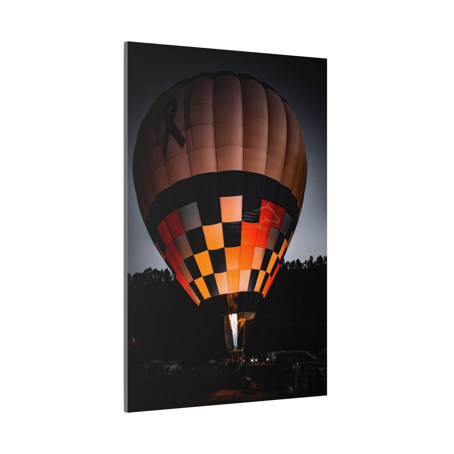 Hot Air Balloon Canvas