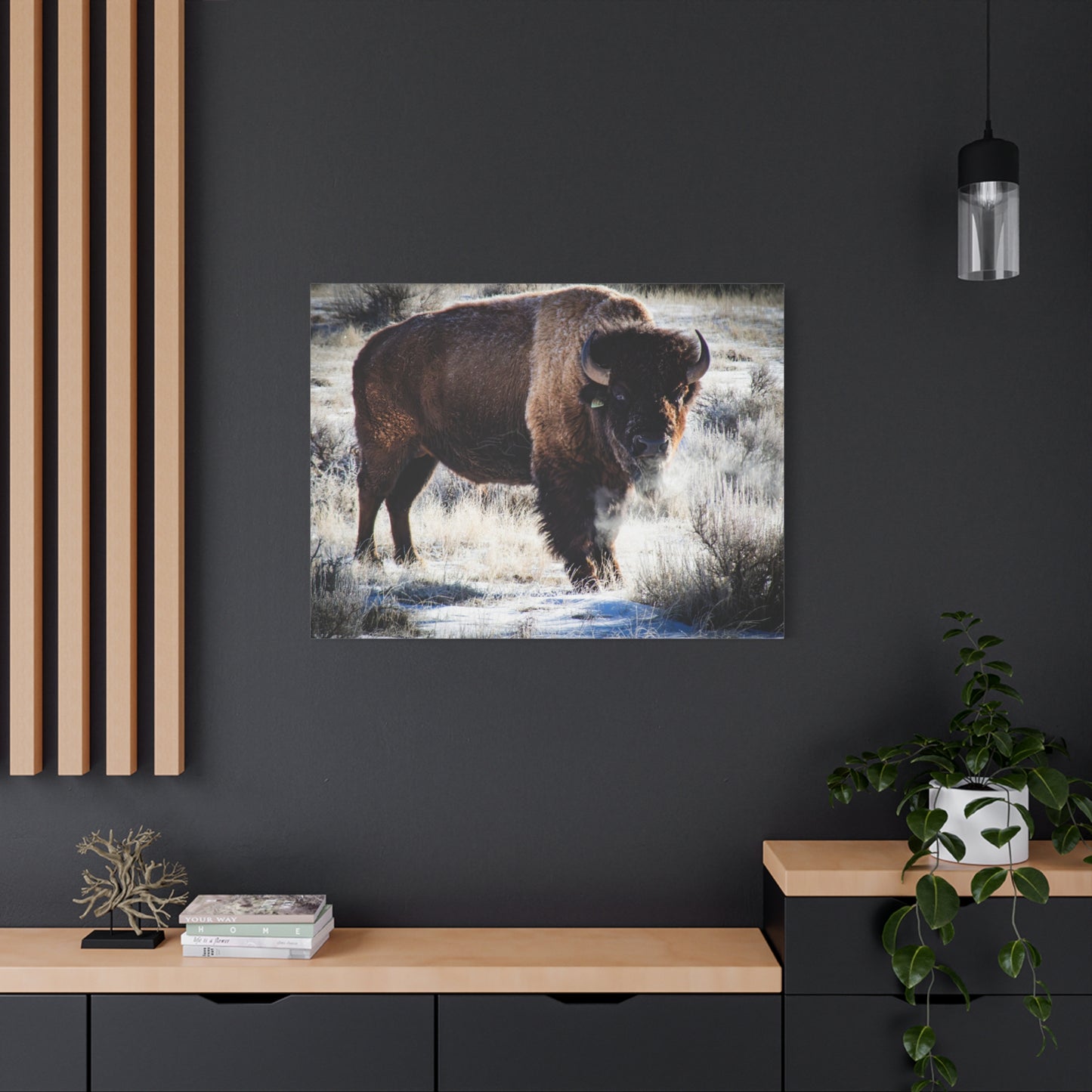 Early Morning Buffalo Canvas