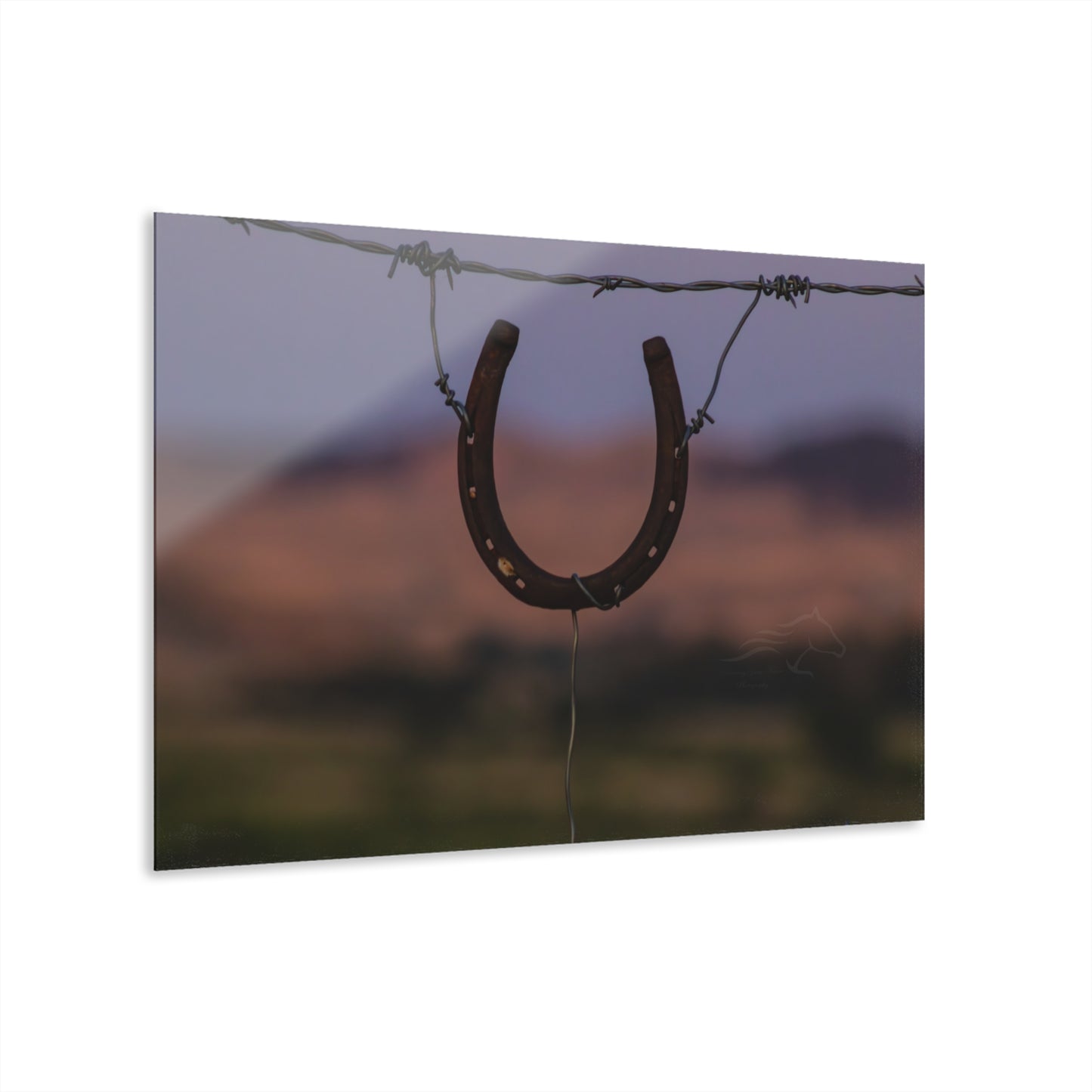 Rustic Horseshoe Acrylic