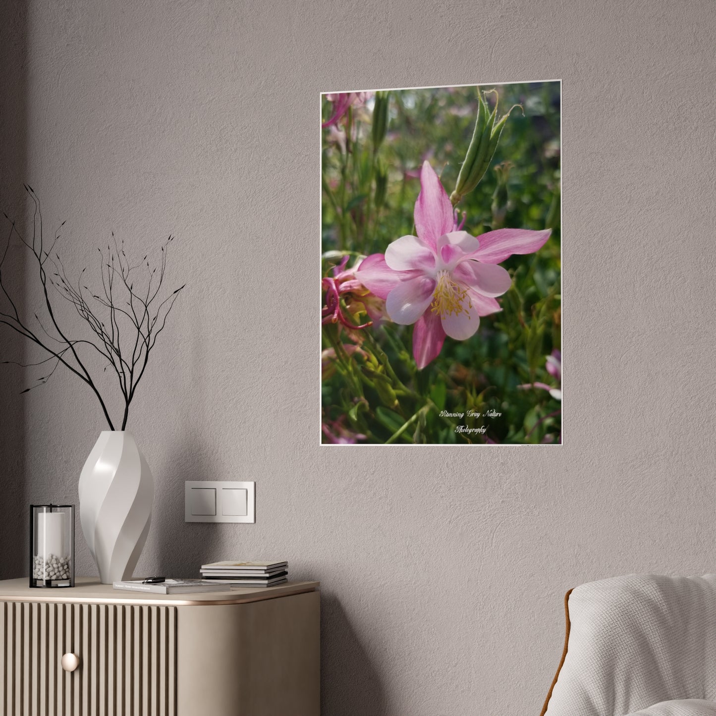 Posters Board Pink Columbine