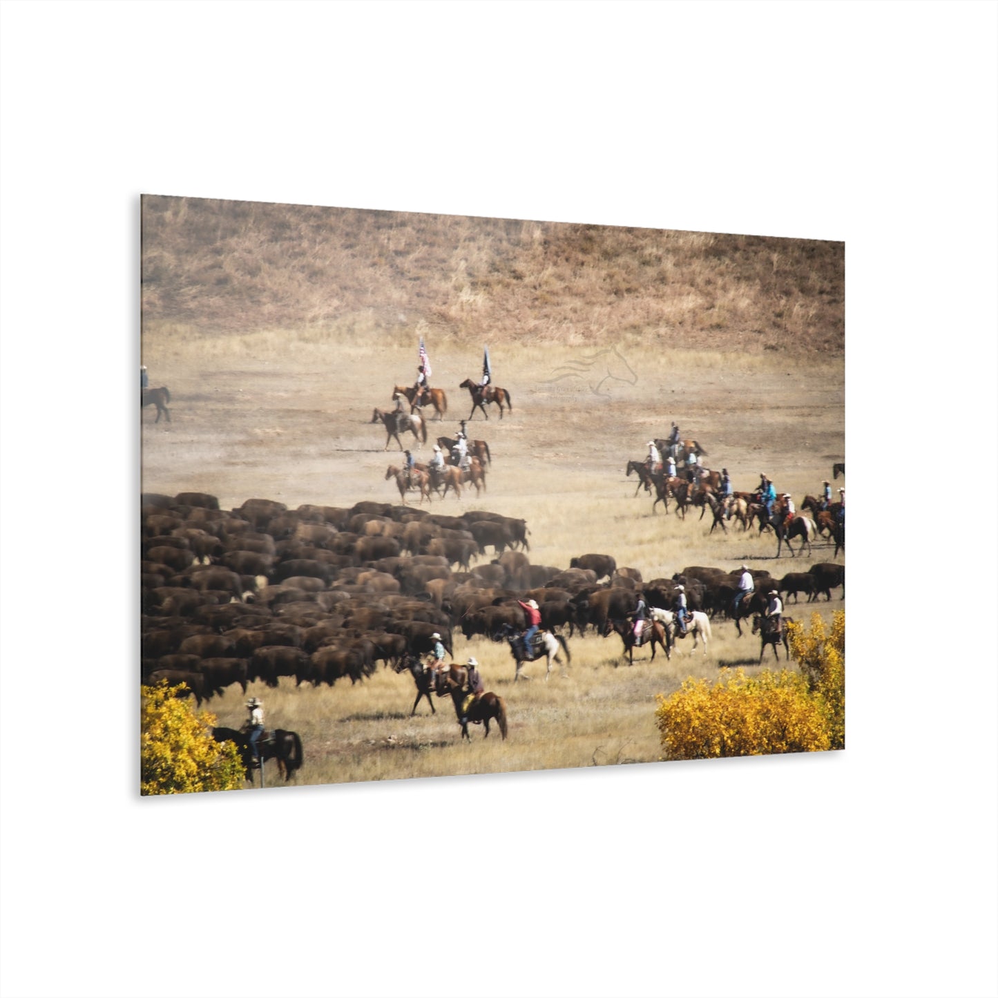 Cowboys and Buffalo Acrylic