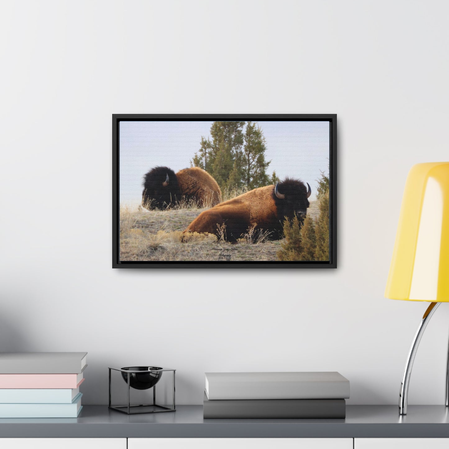 Two Bull Buffalo Gallery Canvas Wraps, Horizontal Frame