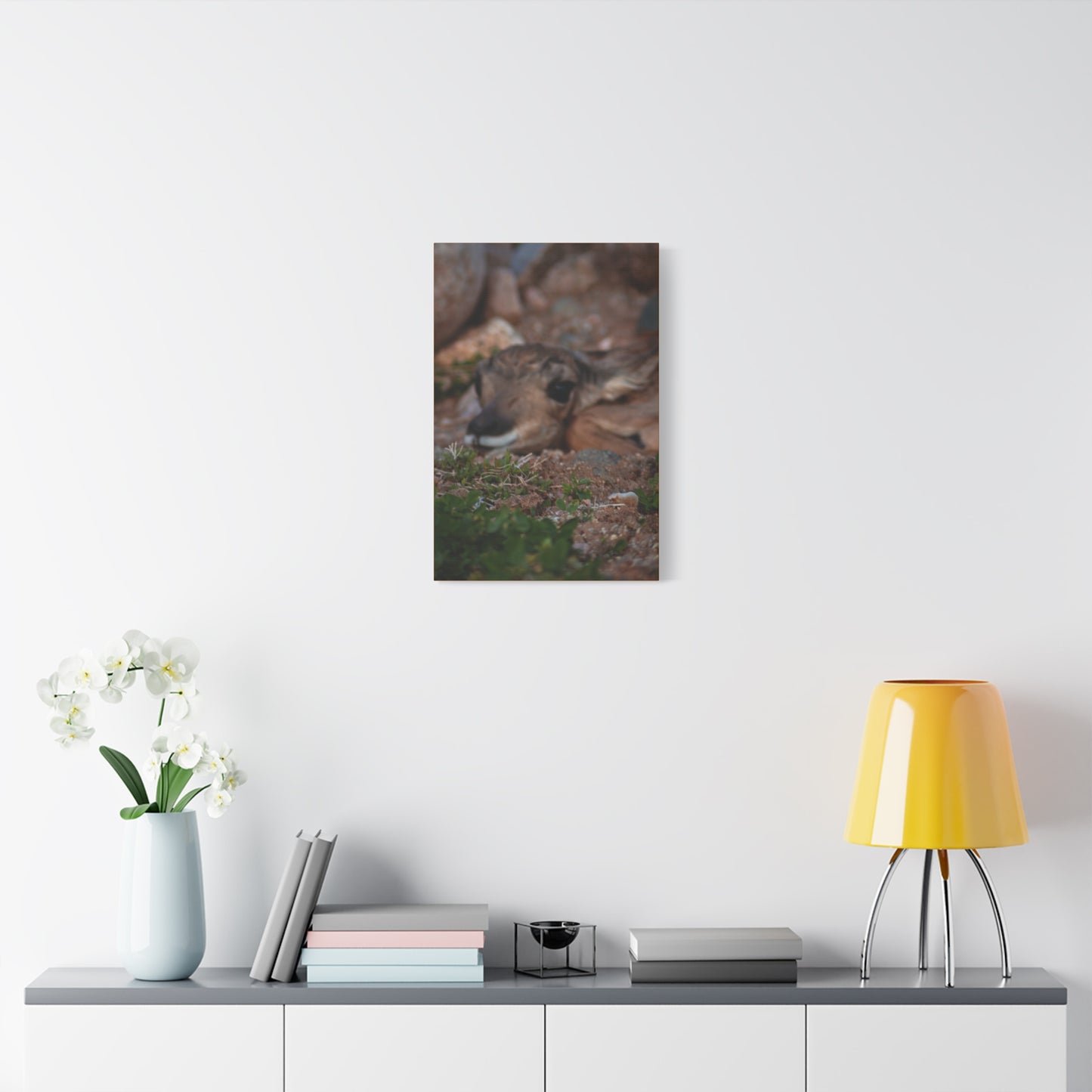 Gentle Antelope Fawn Canvas