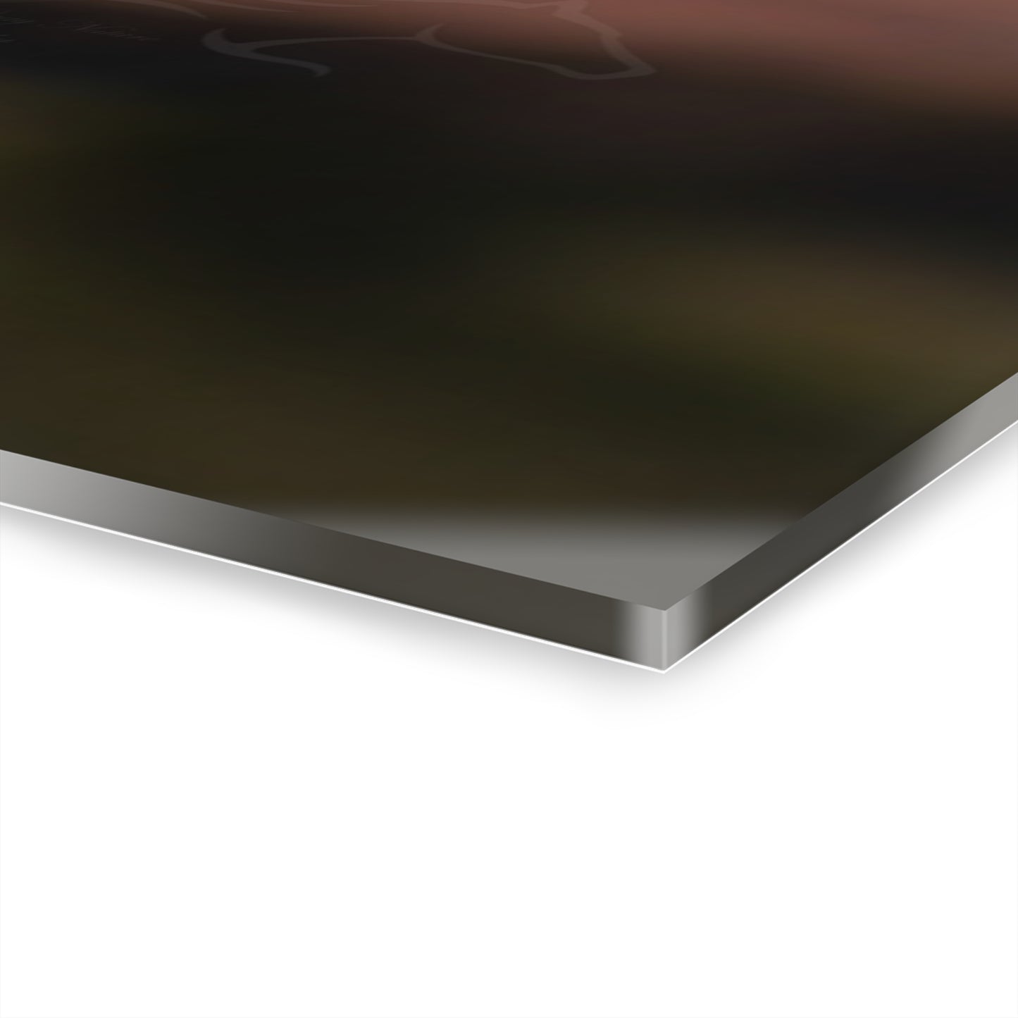 Rustic Horseshoe Acrylic