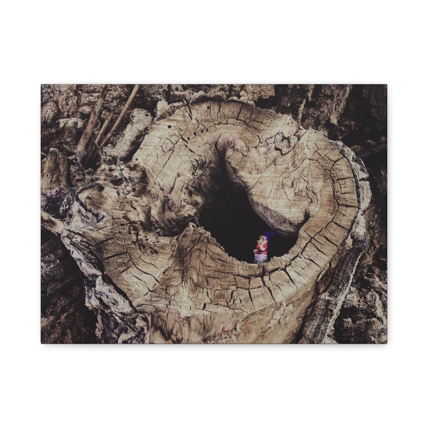 Fairy in a Tree Canvas