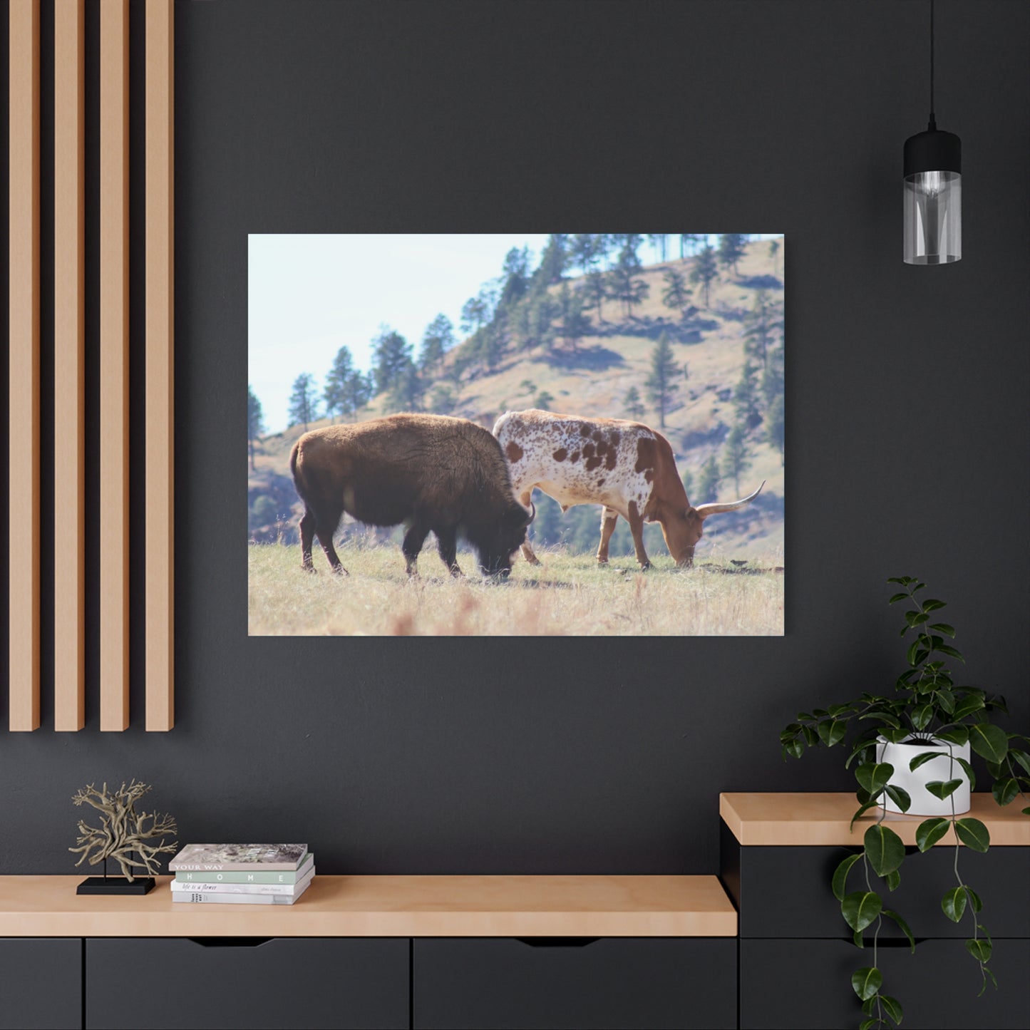 Long Horn and Buffalo Canvas