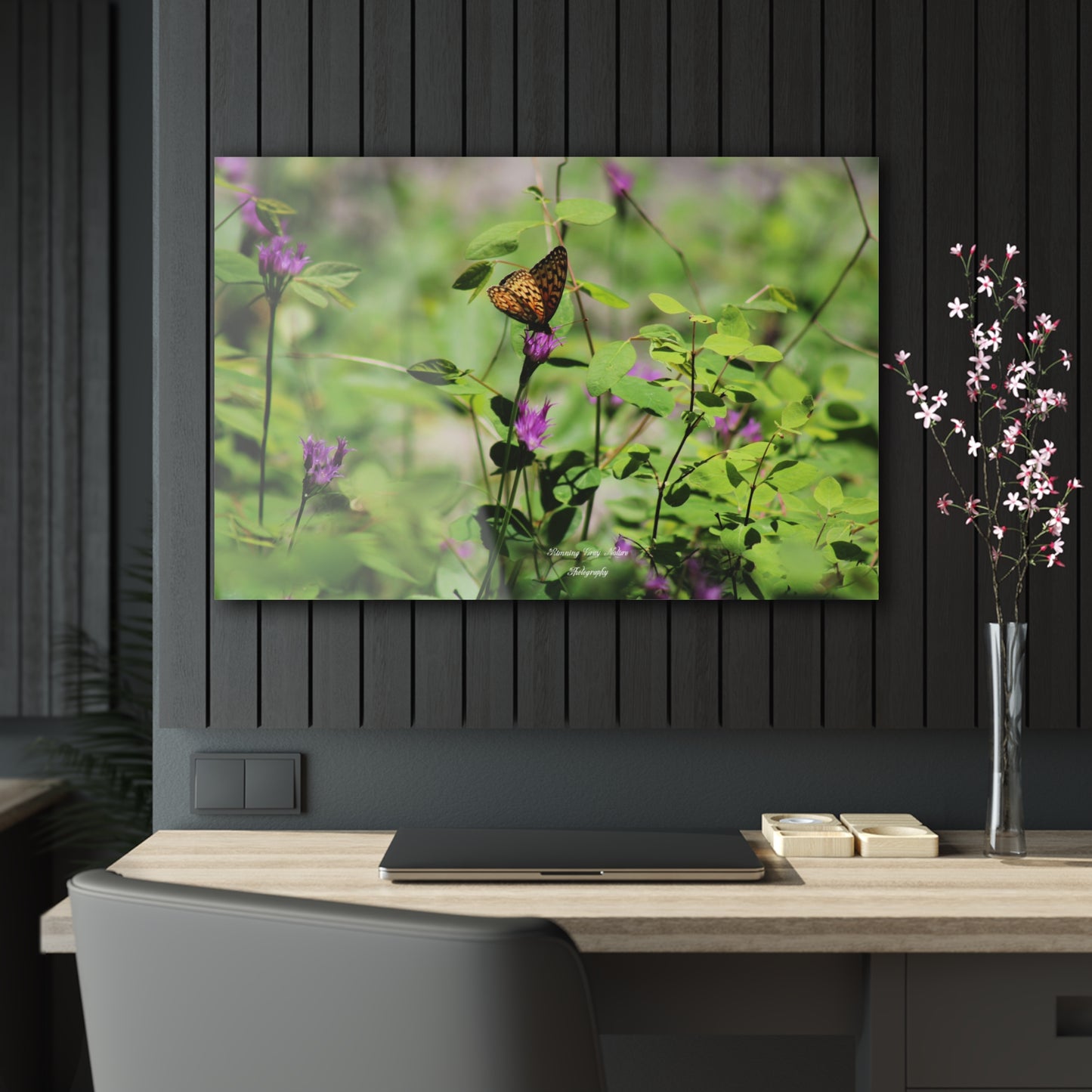 Butterfly Acrylic Prints