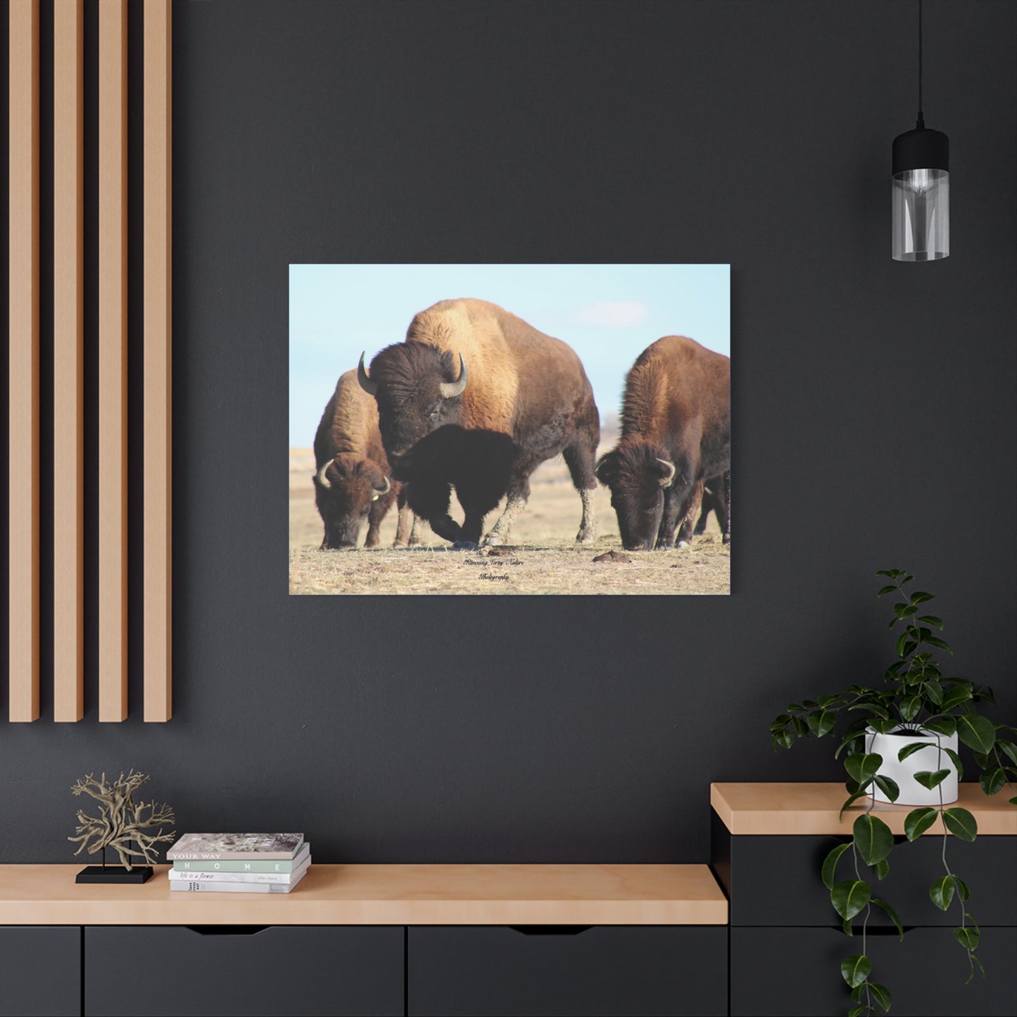 Buffalo Herd Matte Canvas, Stretched, 1.25"