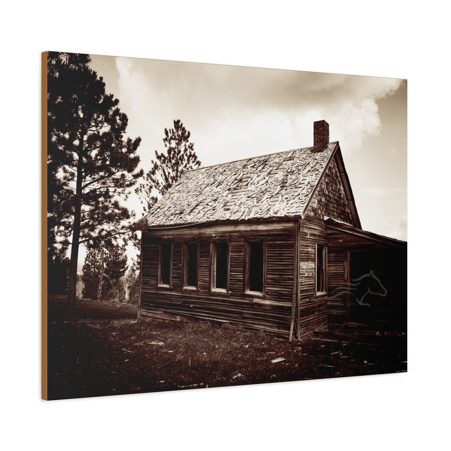 Rustic Bunk House Canvas