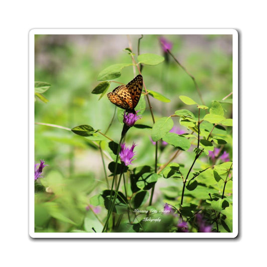 Butterfly Magnets