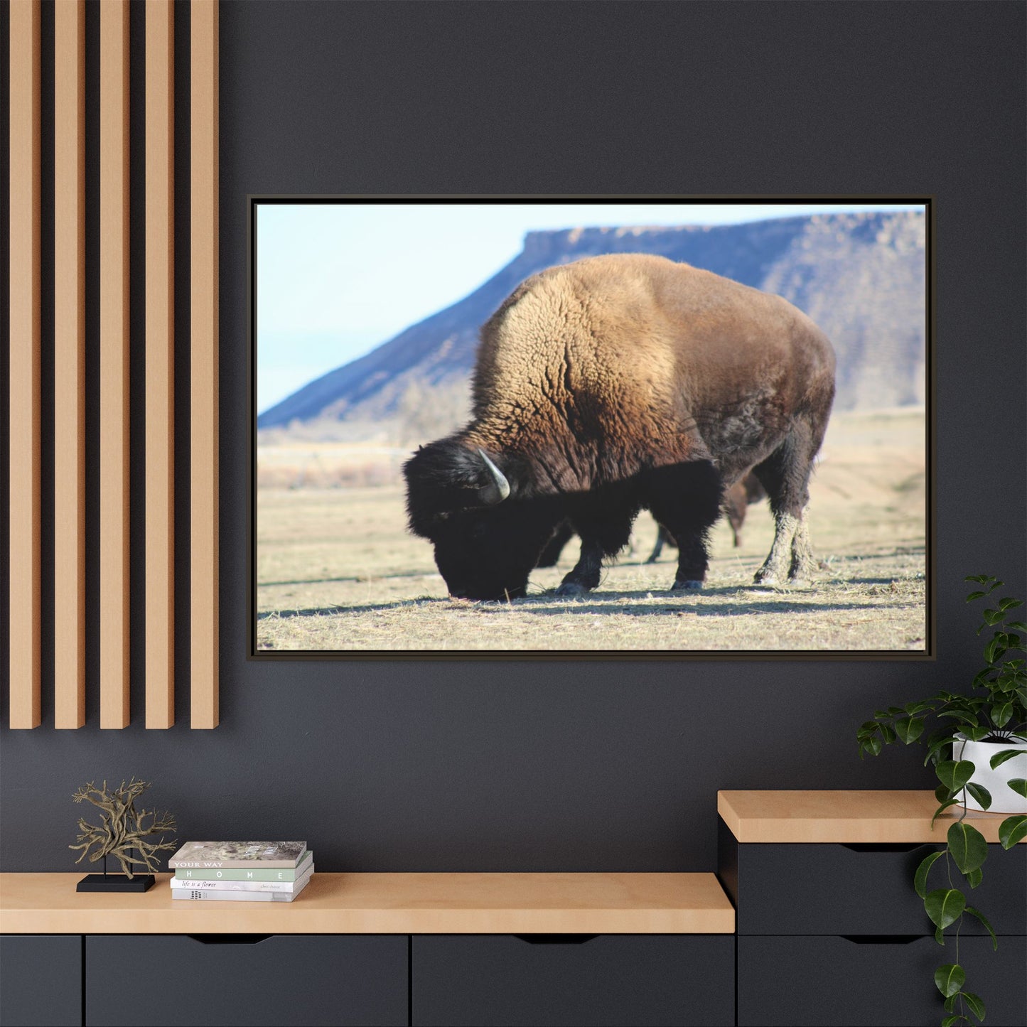 Big Daddy Buffalo Framed Canvas