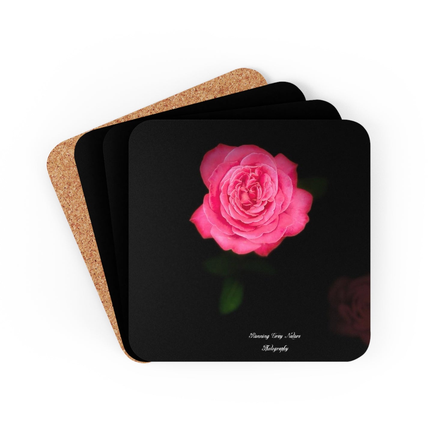 Pink Peace Rose Coaster