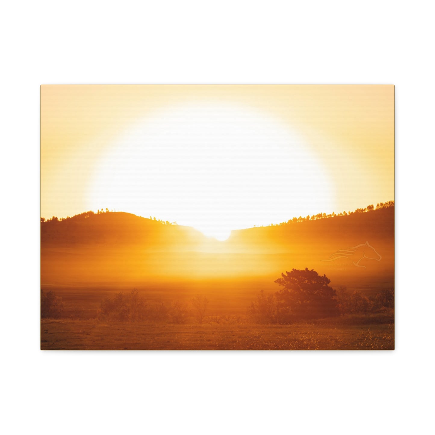 Buffalo Round Up Sunrise Canvas