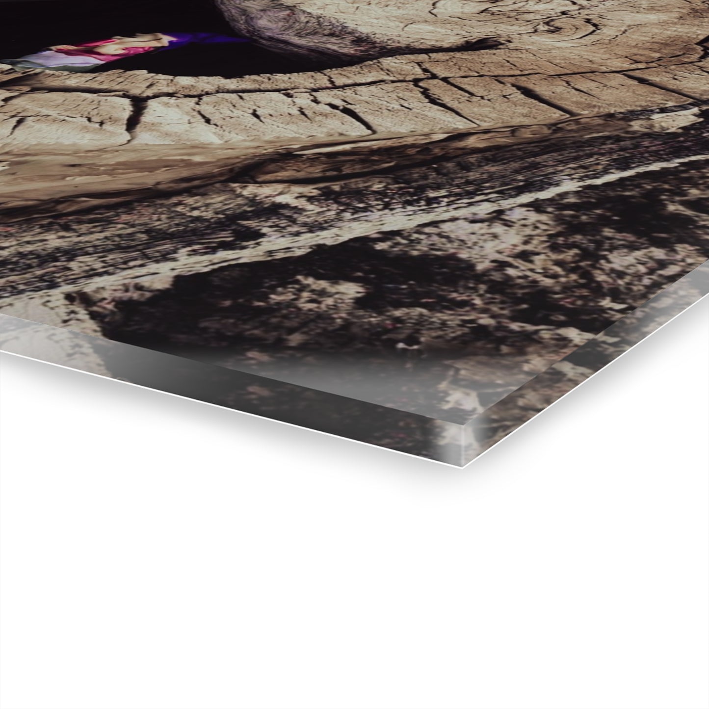 Fairy in a Tree Acrylic