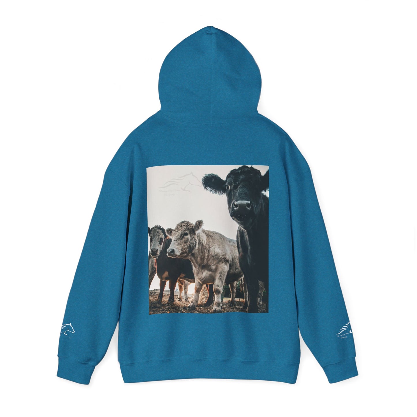 Cow Photo Hoodie