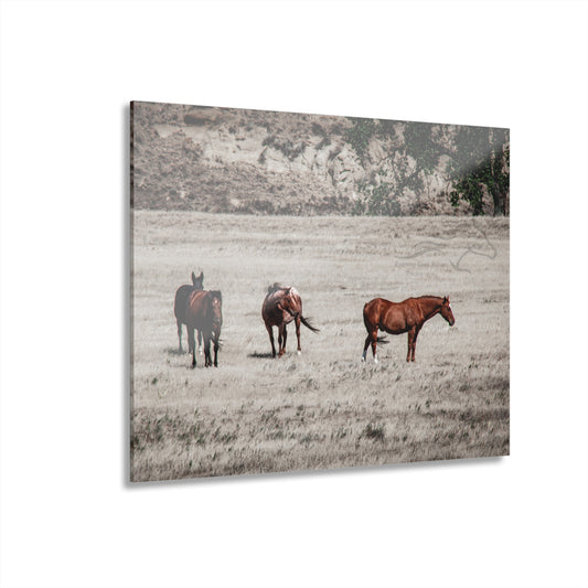 Not everything is Black and White Acrylic