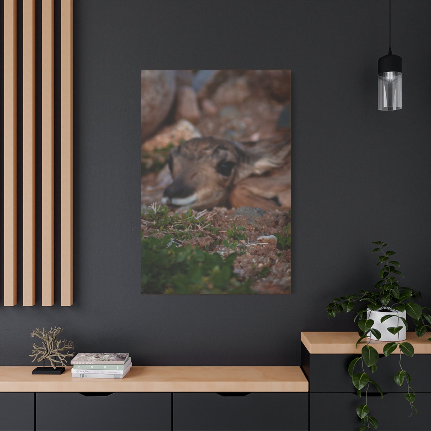 Gentle Antelope Fawn Canvas