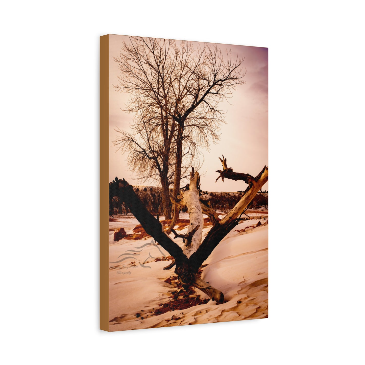Rustic Landscape Canvas