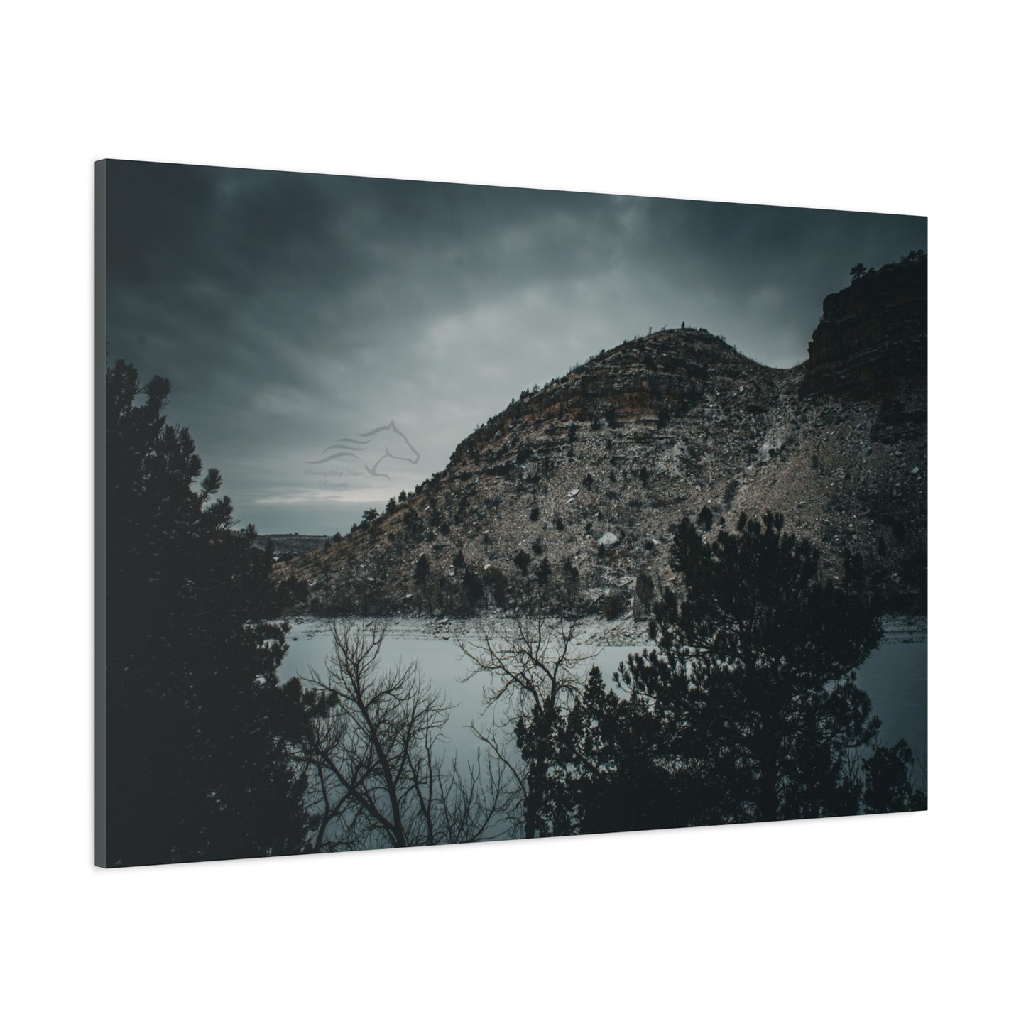 Moody Landscape Canvas
