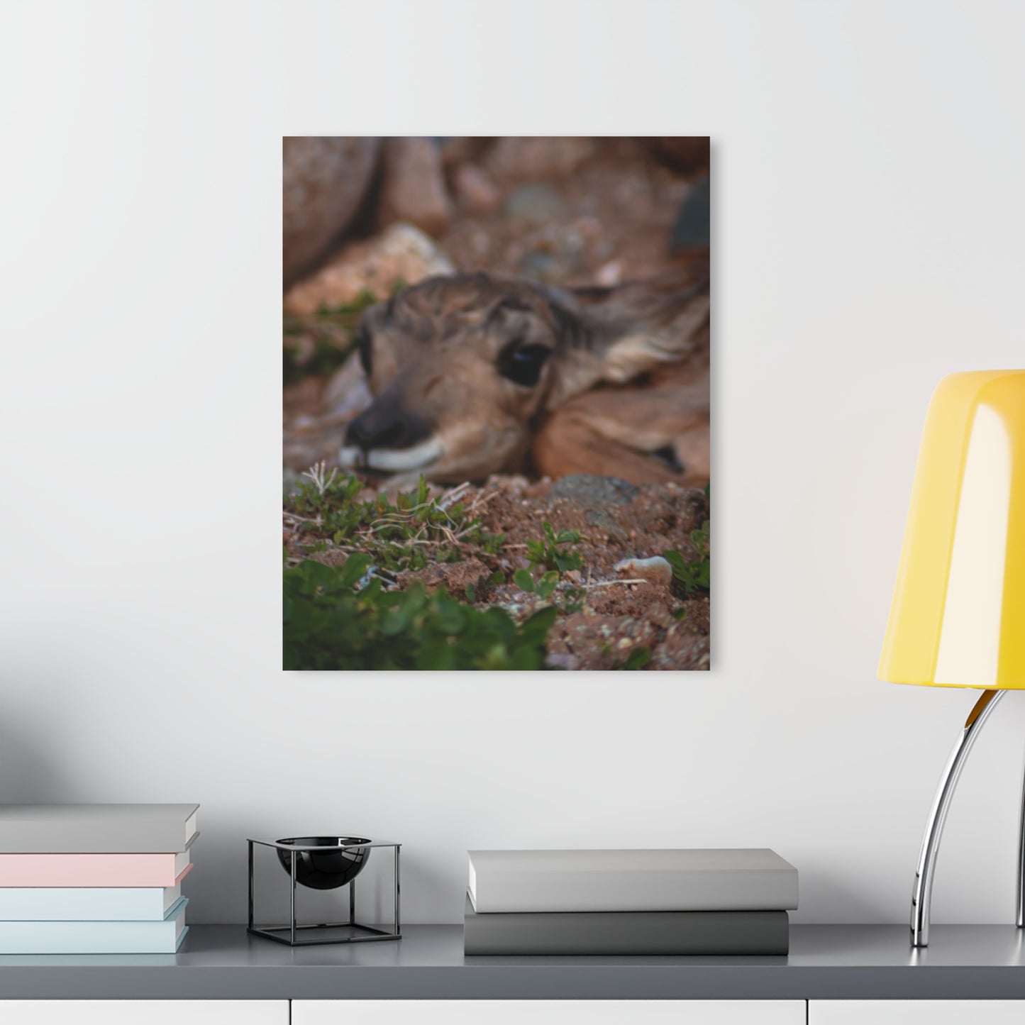 Gentle Antelope Fawn Acrylic