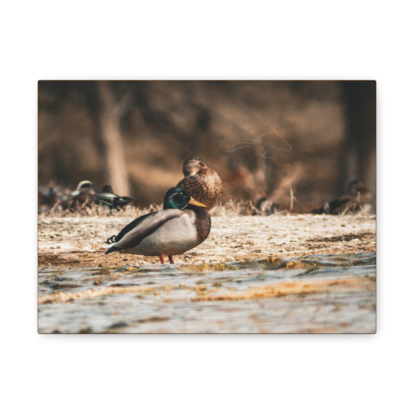Nature-Inspired Duck Canvas