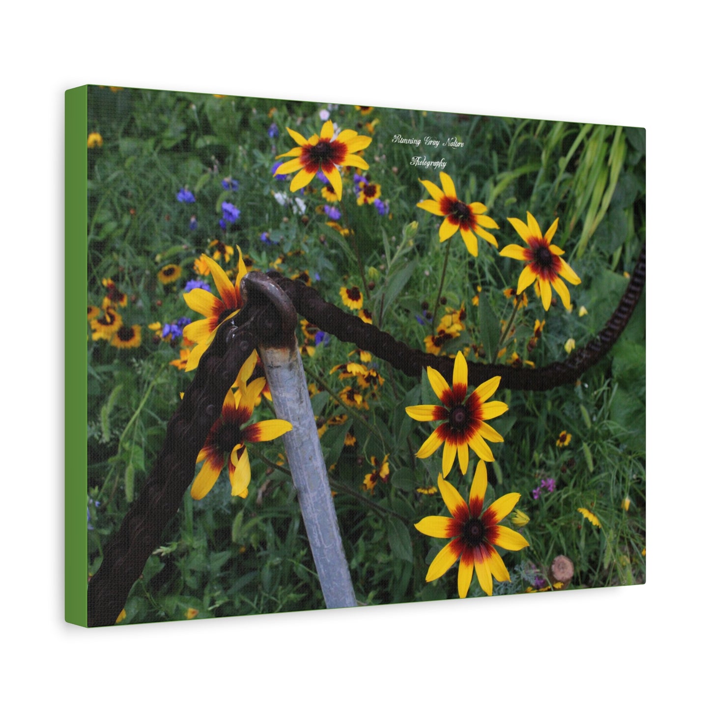 Red and Yellow Sunflowers Matte Canvas, Stretched, 1.25"