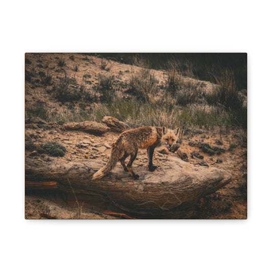 Rustic Fox Canvas